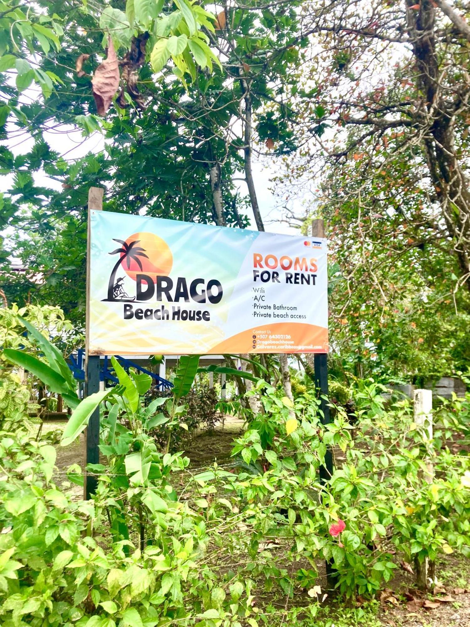 Drago Beach House - Private Beach Boca del Drago Exterior foto